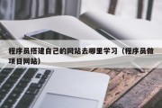 北京程序员搭建自己的网站去哪里学习（程序员做项目网站）